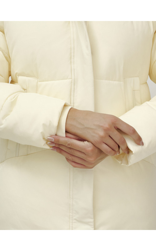 Зимний пуховик с воротником-стойкой и капюшоном.